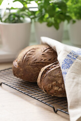 Freshly baked artisan sourdough bread cooling on rack in bright kitchen
