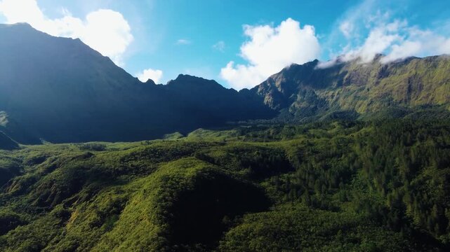 Aerial drone over tropical rainforest, a primary forest in Papua, Indonesia. Aerial view, moving over the rainforest canopy at slow speed. Beautiful mountain forest backdrop.