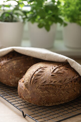 Freshly baked artisan sourdough bread cooling on rack in bright kitchen