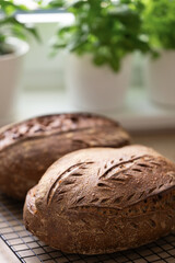 Freshly baked artisan sourdough bread cooling on rack in bright kitchen