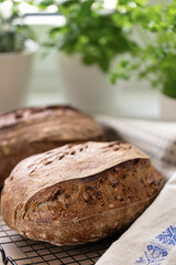 Freshly baked artisan sourdough bread cooling on rack in bright kitchen