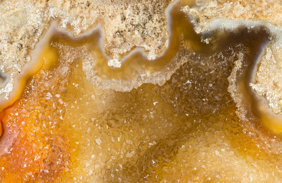 Fossilized Coral with Crystalline Lining