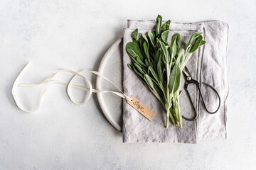 Fresh sage bouquet tied with ribbon and scissors