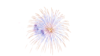 Vibrant Fireworks Explode in Night Sky with Whisk 26d3df5e94af749b92440e3277e91facdr Sparks