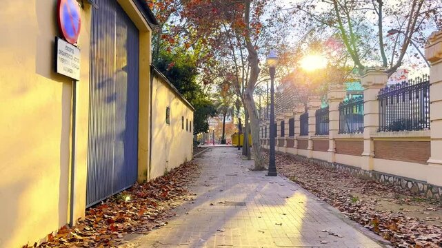 El parque Ribalta, preciso parque en el interior de castell&oacute;n de la plana	