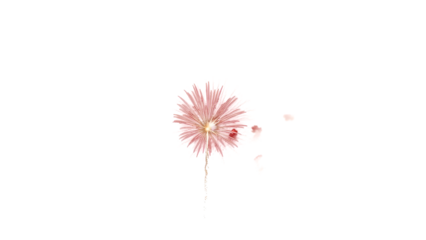 A delicate pink flower blooms in a serene natural landscape setting outdoors