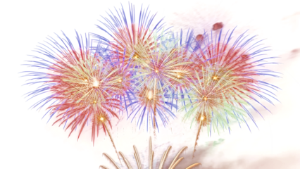 Vibrant Fireworks Explode in Night Sky with Colorful Bursts of Light and Energy