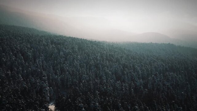 Bolu Drone Kar orman