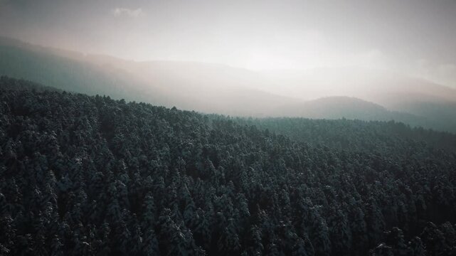 Bolu Drone Kar orman