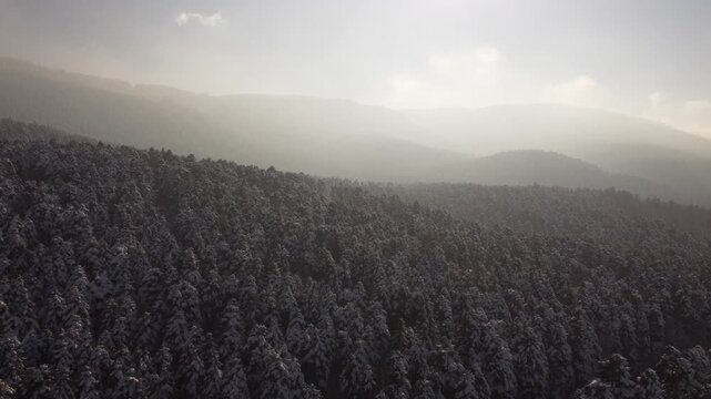 Bolu Drone Kar orman