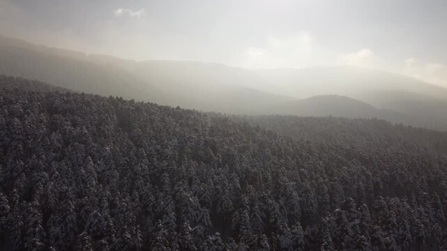Bolu Drone Kar orman
