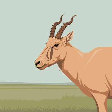 Close-up profile of a hartebeest antelope with spiraled horns standing in a vast grassy African savanna landscape at dawn.