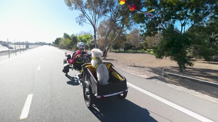 An elderly woman bikes on an electric tricycle pulling a dog in a small trailer along a sunny path surrounded by trees.