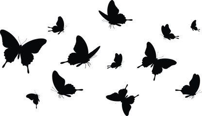 Flying butterfly silhouettes vector design, black insect shapes, nature elements, isolated butterflies illustration, abstract art, minimalist wildlife, beauty, motion © It's Sahed