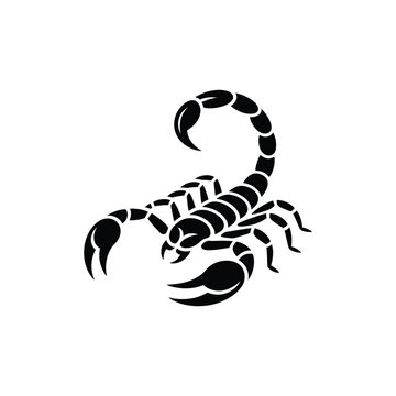 A striking black silhouette depicting a detailed scorpion with a curved tail and claws