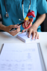 Doctor using heart model to explain blood flows direction.