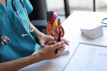 Doctor using heart model to explain blood flows direction.