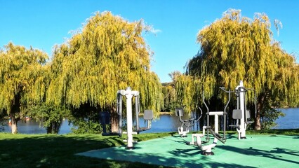 Fitness area with various exercise machines located under the graceful branches of weeping willows....