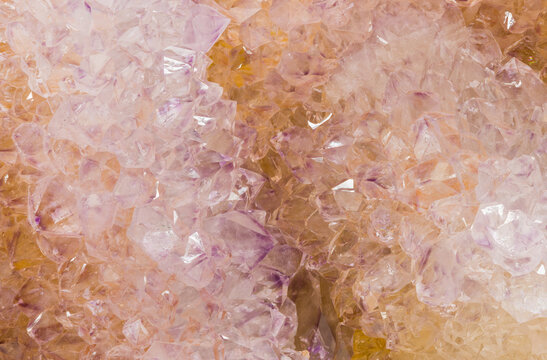 Cactus Quartz/Amethyst