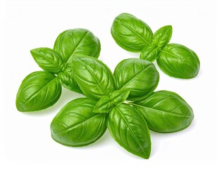 Fresh Green Basil Leaves Isolated on White Background for Culinary Use
