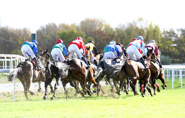 Grupo de caballos de carreras purasangre a galope en hip&oacute;dromo con jockey y chaquetillas de colores 