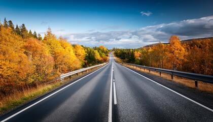 Naklejka premium fall scenic road in sweden
