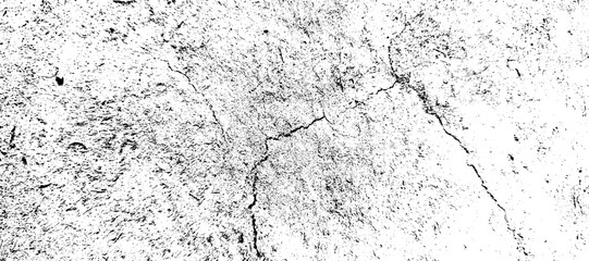 A detailed black and white grunge texture revealing abstract patterns and distressed speckles on a worn surface. vector