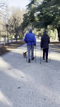 Caminando con bastones de trekking con apoyo y perro a paso r&aacute;pido de ejercicio en naturaleza