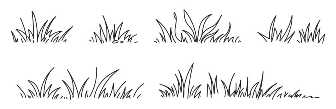 Hand drawn grass vector line natural field silhouette shadow doodle. Blossom silhouette flowers spring illustration in sketchy style isolated on white
