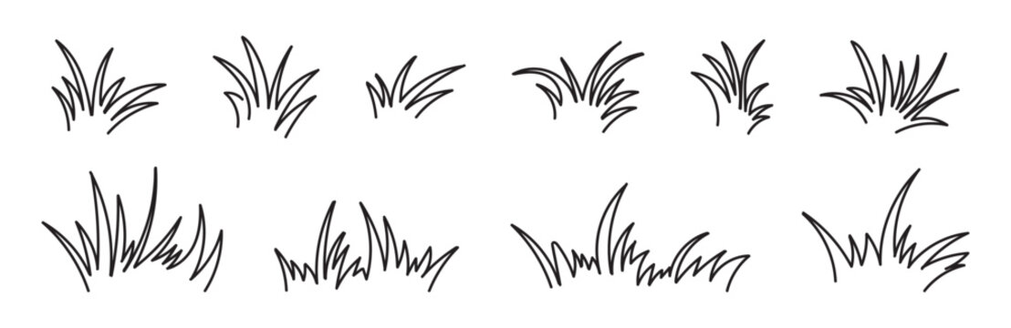 Grass doodle sketch style set. Hand drawn grass field outline scribble background. Sprout, flower, clover elements.