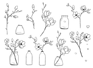 Floral Hand drawn illustrations. Doodle flowers in vases. spring hand drawn collection.