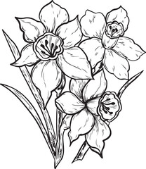 Hand-drawn graphics of daffodil flowers with detailed petals and leaves. The illustration showcases multiple blooms in a natural arrangement.