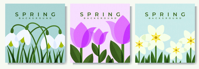 A set of three square postcards with spring flowers