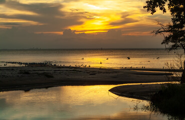 Sunset on Mobile bay.  Shot from the eastern shore look at the skyline on the horizon .