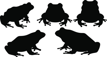Five black frog shapes in different poses a striking silhouette © MdGolam