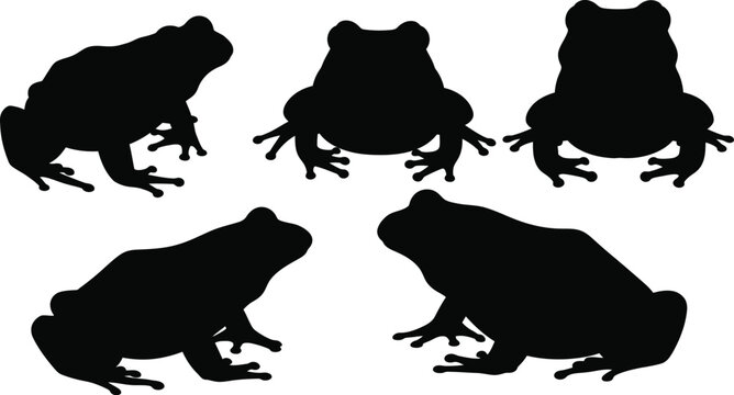 Five black frog shapes in different poses a striking silhouette