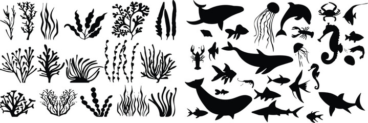 Large Set of Black Sea Life Silhouettes Including Whales Sharks Dolphins Jellyfish Coral and Seaweed Isolated on White Background for Oceanography © Shihab Creative