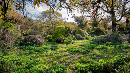 Prehistoric nuraghe stone structure rising from green landscape under dramatic sky in Sardinia