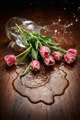 Spilled glass vase with pink tulips and water splash on dark wooden table, high speed action shot