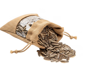 Spilled bag of millet grains isolated on transparent background