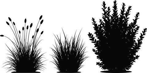 Silhouette Plants for Modern Design and Illustrations © Mohim