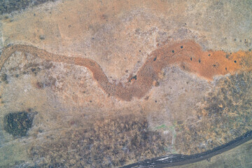 Abstract winding dry riverbed with orange reed texture and frosted soil patterns featuring organic nature curve aerial top down view
