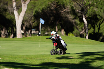 Closeup of golf clubs in bag on green field outdoor sports equipment for professional game training or tournament