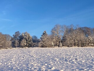 Landschaft im Winter mit Schnee auf Wiese am Waldrand mit verschneiten B&auml;umen