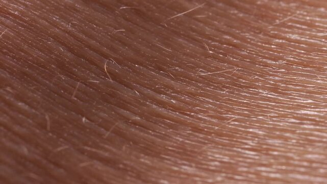 HD video of extreme macro human breast skin texture with fine vellus hair and visible micro surface details on a dark background