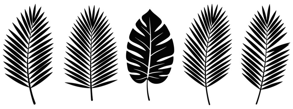 Leaf Silhouette Set &ndash; 5 Black Botanical Designs Featuring Palm Fronds and Lobed Leaf Shapes