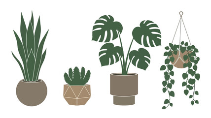 Stylized potted plants collection with monstera and snake plant on transparent background silhouette © MALA