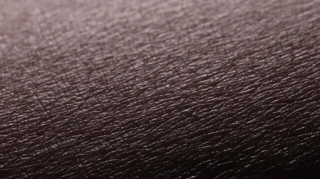 HD video of extreme macro human leg skin texture after depilation showing hair removal result and visible micro surface details