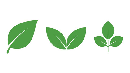 Three green leaves design element perfect for nature themes on transparent background silhouette © MALA