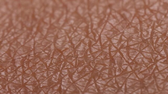 HD video of extreme macro human leg skin texture after depilation showing hair removal result and visible micro surface details